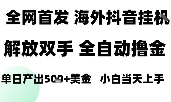 海外抖音无人直播，单日产出1.5k+，长期稳定，新手可玩，无脑操作【揭秘】-云泽轻创网