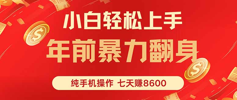 七天狂赚8600，小白纯手机操作，日入1000+-云泽轻创网