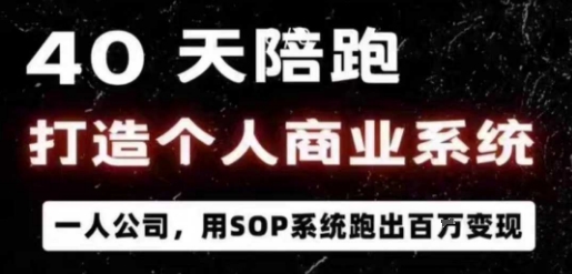40天陪跑打造个人商业系统,一人公司,用SOP系统跑出百W变现-云泽轻创网