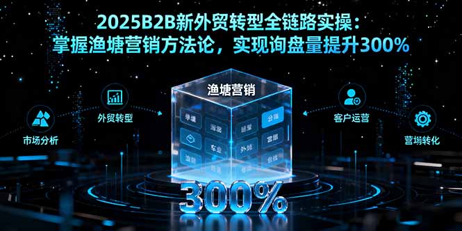 2025B2B新外贸转型全链路实操：掌握渔塘营销方法论，实现询盘量提升300%-云泽轻创网