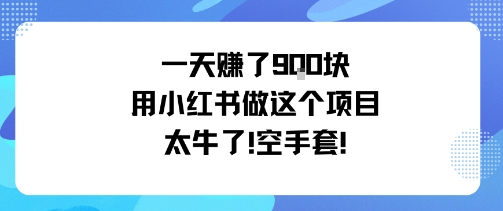 一天挣了9张用小红书做这个项目太牛了，空手套-云泽轻创网