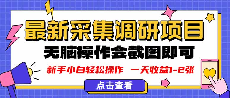 新版采集调研项目，截图上传即可，无脑操作，日收益1-2张-云泽轻创网
