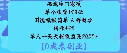 私域冷门赛道:单个收费198米引流模板简单人群精准转化45%单人一天大概收益是1k+-云泽轻创网