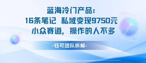 蓝海项目：16条笔记私域变现9750米小众赛道操作的人不多-云泽轻创网