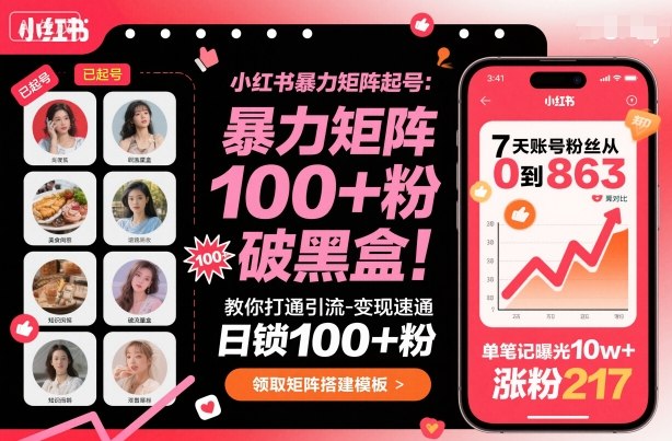 小红书暴力矩阵起号，教你打通引流-变现速通，日锁100+粉，破流量黑盒-云泽轻创网