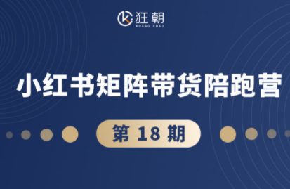 盗坤·抖音小红书视频号短视频带货与直播变现(11-18期)-云泽轻创网