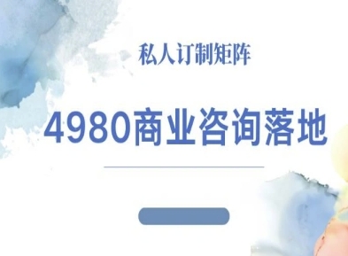 4980商业咨询师落地课程-ip运营高客单教程-云泽轻创网