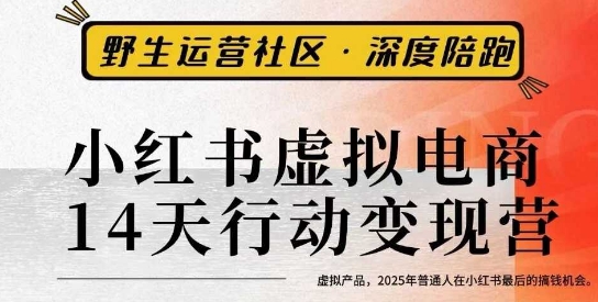 小红书虚拟电商14天变现训练营3.0，​虚拟产品，2025年普通人在小红书最后的搞钱机会-云泽轻创网