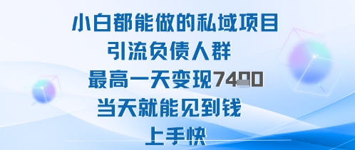 2025年小白都能做的私域项目引流负债人群最高一天变现1k+高变现难度低当天就能见到钱上手快-云泽轻创网