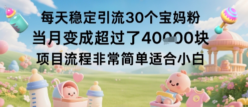 每天稳定引流30个宝妈粉当月变成超过了1W+项目流程非常简单适合小白-云泽轻创网