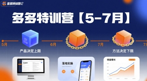 多多特训营，产品决定上限，方法决定下限，各种玩法技巧落地实操(更新)-云泽轻创网