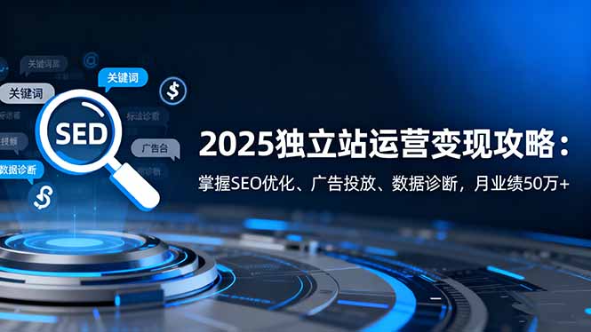 2025独立站运营变现攻略：掌握SEO优化、广告投放、数据诊断，月业绩50万+-云泽轻创网