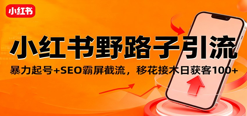 小红书野路子引流，暴力起号+SEO霸屏截流，移花接木日获客100+-云泽轻创网