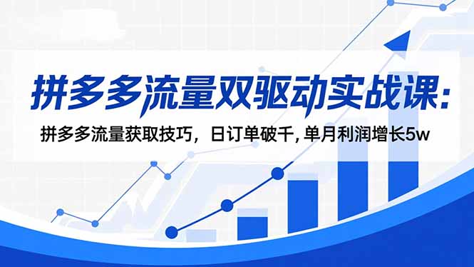 拼多多流量双驱动实战课：拼多多流量获取技巧，日订单破千,单月利润增长5w-云泽轻创网
