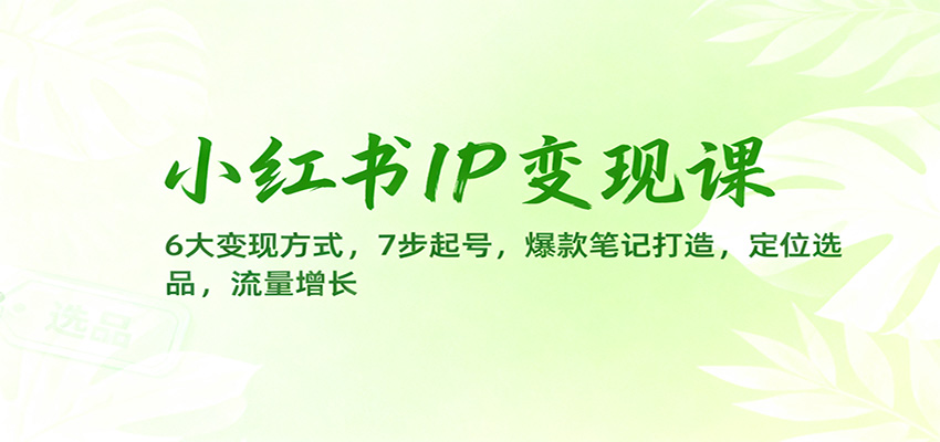 小红书IP变现课：6大变现方式，7步起号，爆款笔记打造，定位选品，流量增长-云泽轻创网
