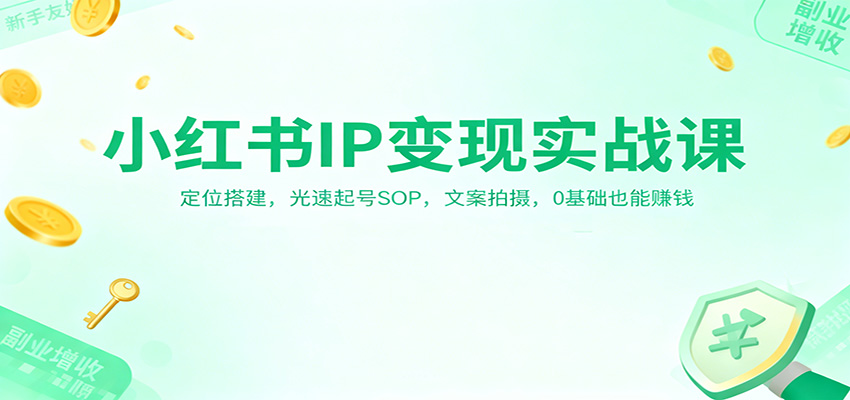 小红书IP变现实战课:定位搭建,光速起号SOP,文案拍摄,0基础也能赚钱-云泽轻创网