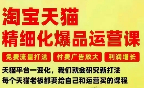 淘宝天猫精细化爆品运营课，免费流量打法-付费广告放大-利润增长-三大核心痛点，一次全部解决-云泽轻创网