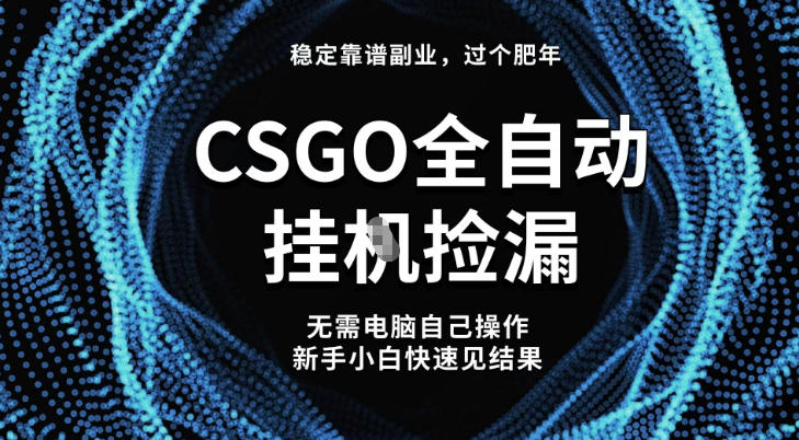 【稳定副业】全球最热门游戏CSGO全自动捡漏，最新玩法，新手小白日入5张+【揭秘】-云泽轻创网