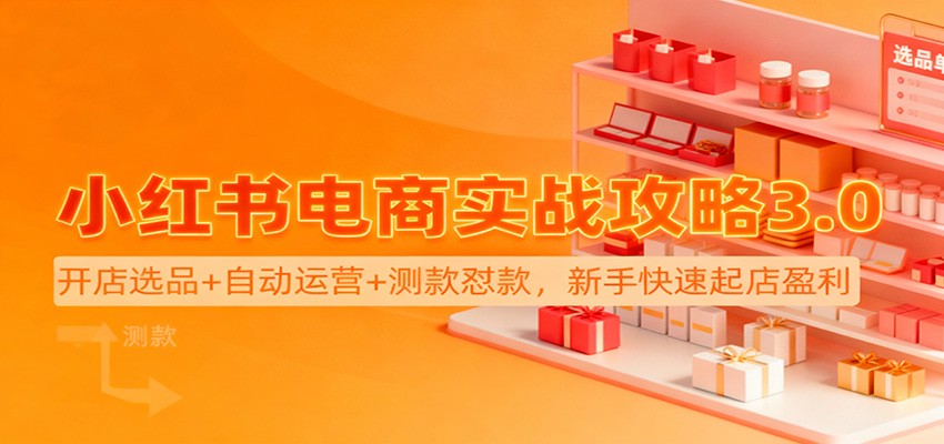 小红书电商实战攻略3.0:开店选品+自动运营+测款怼款,新手快速起店盈利-云泽轻创网