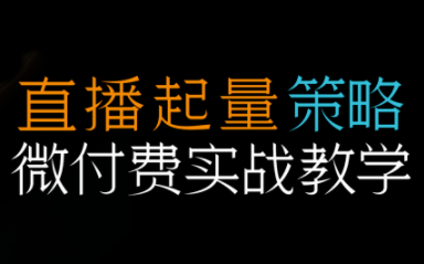 半野老师·直播带货起量与微付费必学课视频号-云泽轻创网