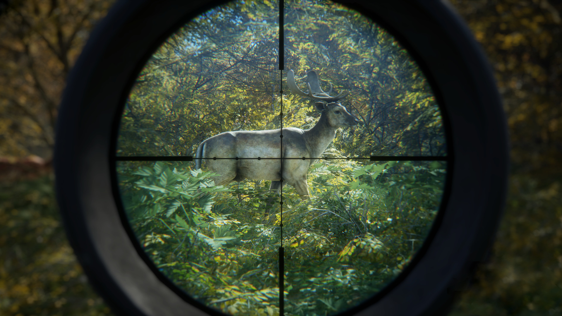 《猎人:荒野的召唤/theHunter: Call of the Wild》PC中文版下载-含v3101875-云泽轻创网