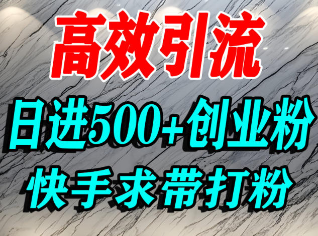 怎么打创业粉？快手求带视角精准引流创业粉，宝妈、学生群体日进500+精准流量-云泽轻创网