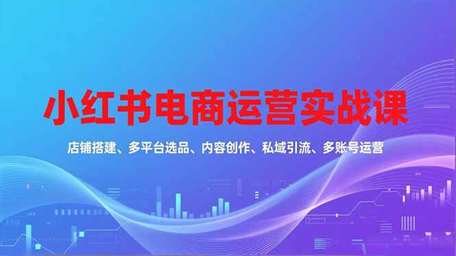 小红书电商运营实战课，店铺搭建、多平台选品、内容创作、私域引流、多账号运营等玩法-云泽轻创网