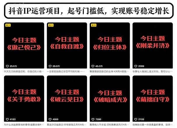 抖音IP运营项目，抖音今日主题玩法，起号门槛低，实现账号稳定增长-云泽轻创网