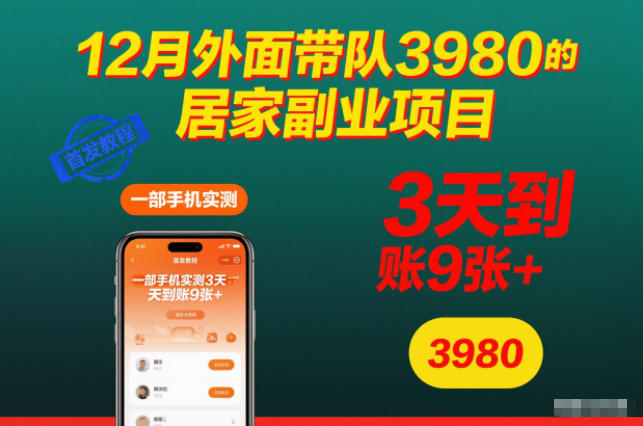 12月外面带队3980的居家副业项目，一部手机实测3天到账9张+，首发教程【揭秘】-云泽轻创网