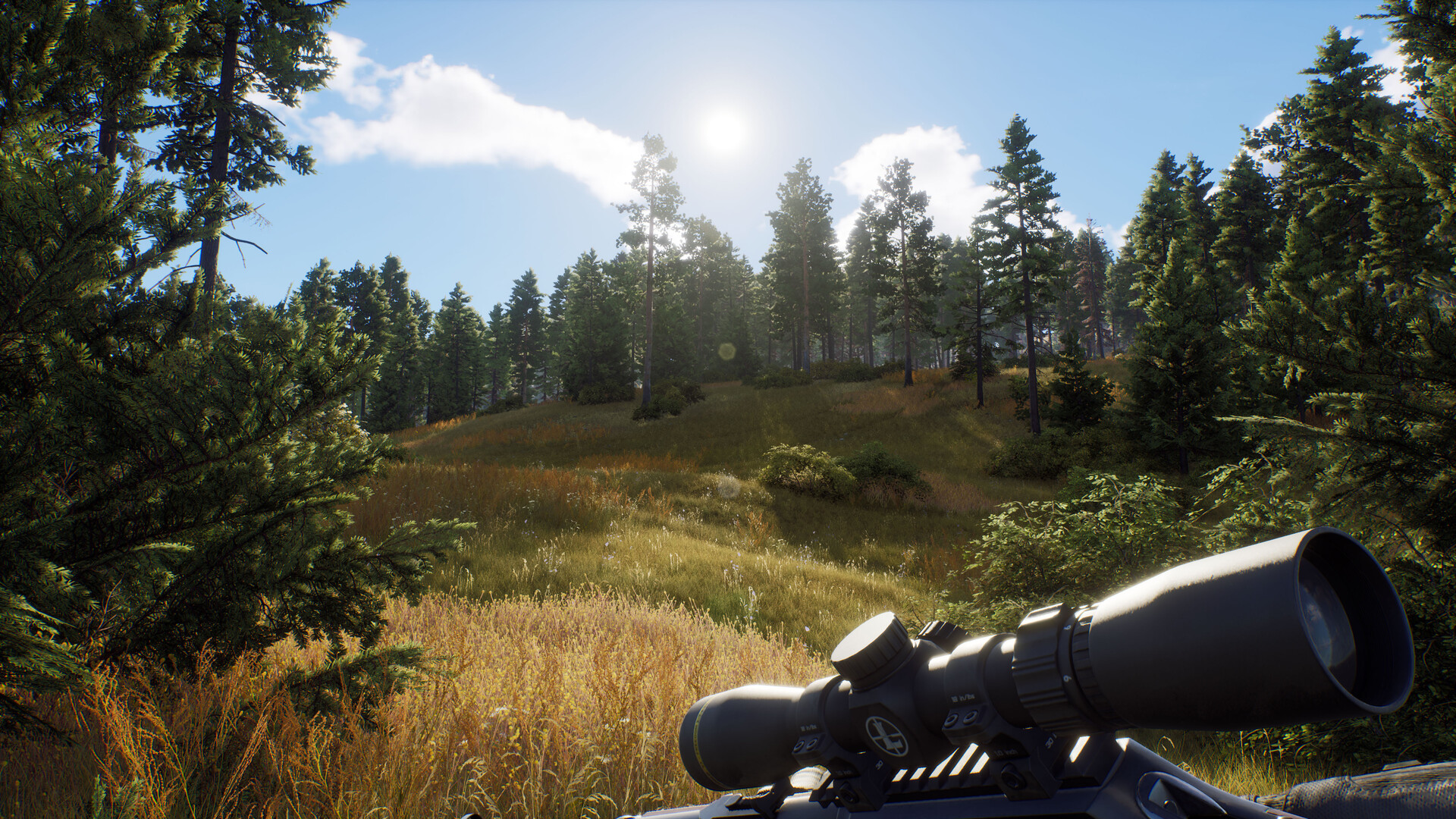 PC游戏《猎人之路/Way of the Hunter》中文v1.30下载-云泽轻创网