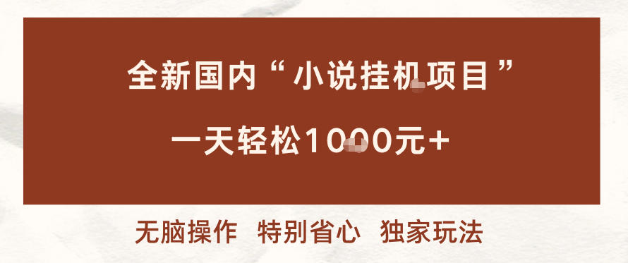 全新国内小说挂G项目，多窗口无脑跑，一天轻松1k+，特别省心【揭秘】-云泽轻创网