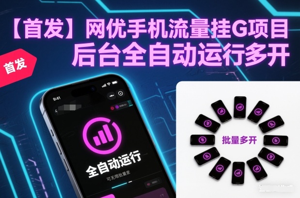 【首发】网优手机流量挂G项目，后台全自动运行，可无限批量多开【揭秘】-云泽轻创网