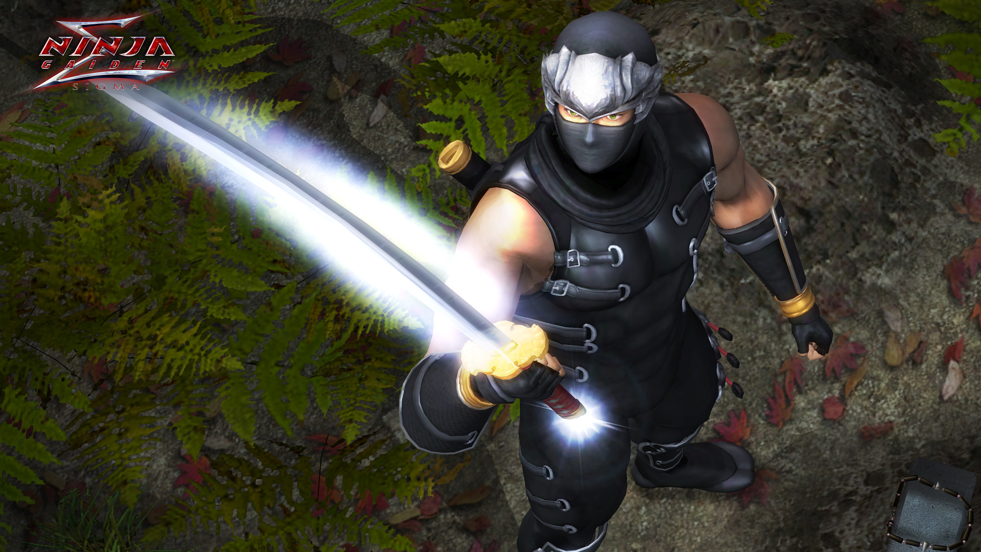 《忍者龙剑传：大师合集/NINJA GAIDEN: Master Collection》PC中文版下载-含v1.0.0.3-云泽轻创网
