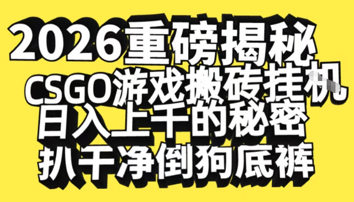 2026开年重磅解密，CSGO游戏搬砖挂G日入1k+的秘密，把倒狗的底裤扒干【揭秘】-云泽轻创网
