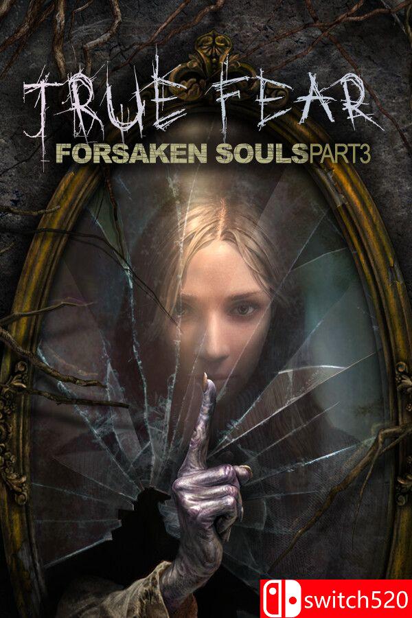 《真实恐惧：被遗弃的灵魂3（True Fear: Forsaken Souls P3）》v1.0.14 [中文/英文]-云泽轻创网