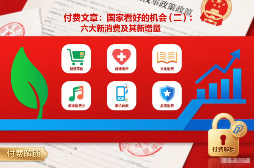 付费文章：国家看好的机会(二)：六大新消费及其新增量-云泽轻创网