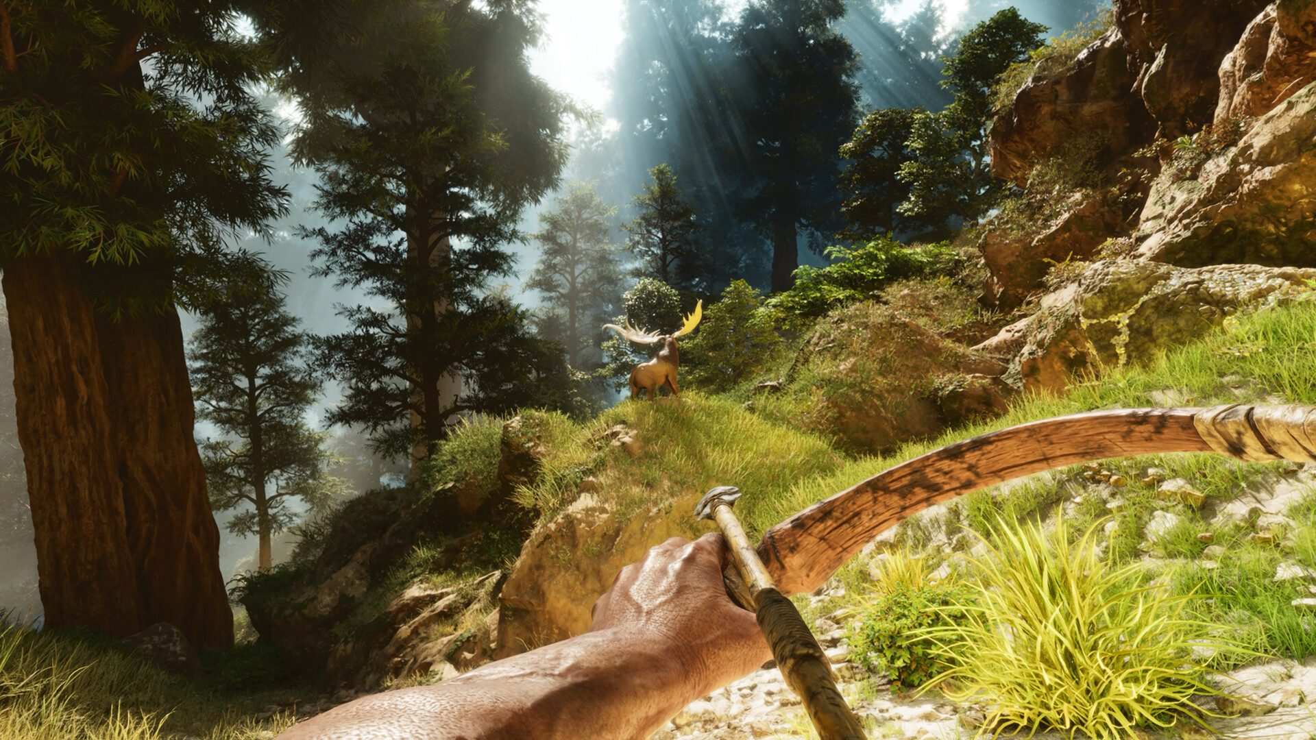 PC游戏《方舟: 生存飞升/ARK: Survival Ascended》中文v77.54下载-云泽轻创网