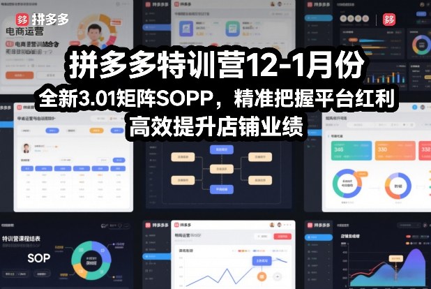 拼多多特训营12-1月份，全新3.01矩阵Sop，精准把握平台红利，高效提升店铺业绩-云泽轻创网