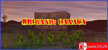 《盗团：瓦哈卡（Brigand: Oaxaca）》v17.6 [英文]-云泽轻创网