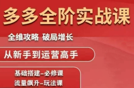 大炮·拼多多全阶实战课程(更新2026)-云泽轻创网