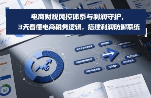 电商财税风控体系与利润守护，3天看懂电商税务逻辑，搭建利润防御系统-云泽轻创网