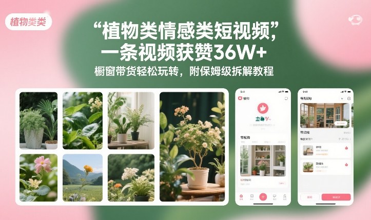 植物类情感类短视频，一条视频获赞36W+，橱窗带货轻松玩转，附保姆级拆解教程-云泽轻创网