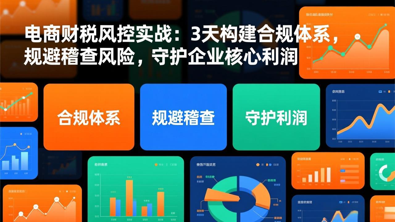 电商财税风控实战：3天构建合规体系，规避稽查风险，守护企业核心利润-云泽轻创网