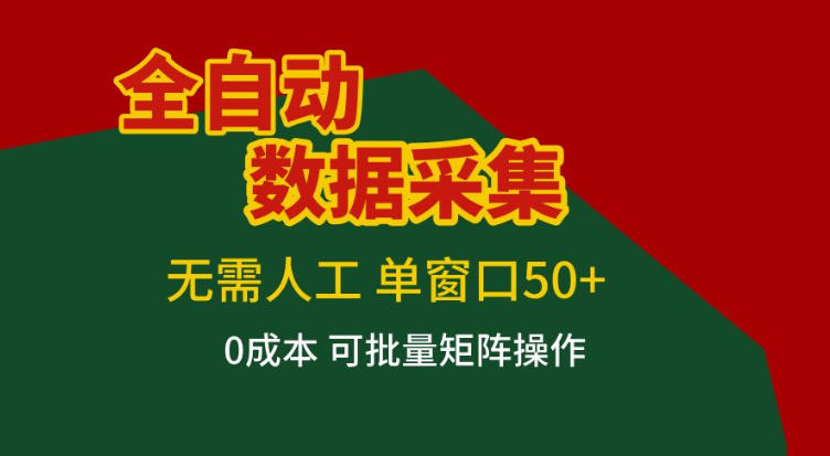 全自动数据采集，无需人工，单窗口50+，0成本可批量矩阵操作【揭秘】-云泽轻创网