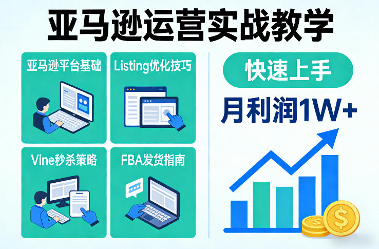亚马逊运营实战教学，亚马逊平台+Listing优化+Vine秒杀+FBA发货等，快速上手，实现店铺月利润1W-云泽轻创网