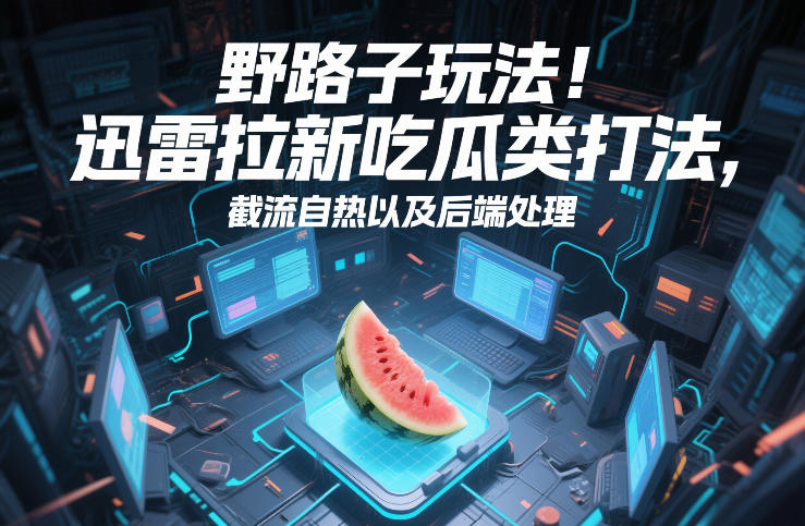 野路子玩法！迅雷拉新吃瓜类打法，截流自热以及后端处理-云泽轻创网