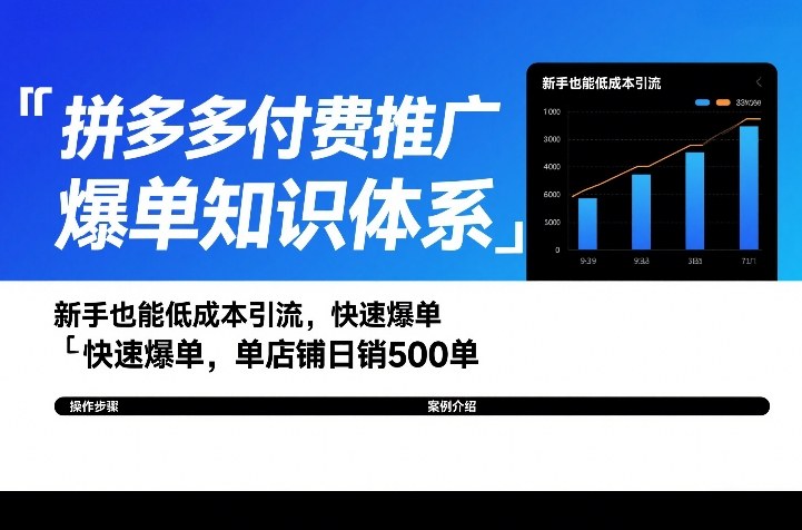 拼多多付费推广爆单知识体系，新手也能低成本引流，快速爆单，单店铺日销500单-云泽轻创网