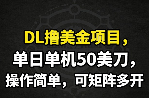 DL撸美金项目，单日单机50美刀，操作简单，可矩阵多开-云泽轻创网