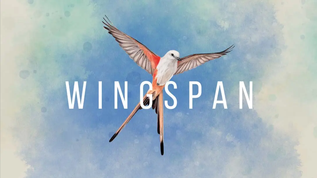 【美版】展翅翱翔 Wingspan 中文-云泽轻创网