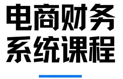 郑老师·电商财务系统课程-云泽轻创网